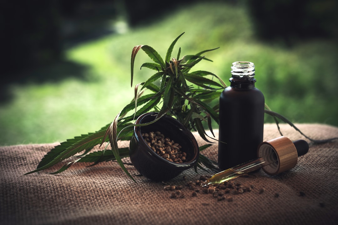 Photo medicinal herbs properties
